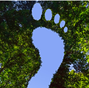 A natural silhouette resembling a footprint formed by the canopy of green trees against a blue sky.